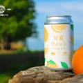 【初夏だけ楽しめる甘夏のクラフトビールが最高だ！】この時期だけの特別なクラフトビール！コラボ商品「甘夏WIT」順次出荷