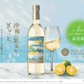 オリオンが贈る“沖縄生まれ”の大人の果実酒！新作「Southern Cross Winery シークヮーサー」登場