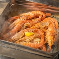 【夏酒の季節到来！2時間飲み放題2,500円】「海老と馬肉と日本酒」で夏酒キャンペーン開催