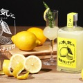 【革命的レモンリキュール登場！】クランド「本気の国産リモンチェッロ」販売