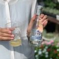 【超ハイボール祭 in 上野公園】ハイボール120種以上の飲み比べイベント開催