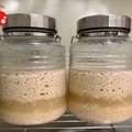 【日本初！生マッコリづくり体験】生マッコリ工房が特別なプログラムをリリース