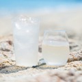 【新感覚アルコール飲料！】梅酒ソーダ割りとも梅サワーとも違う「しまなみ生サワー 南高梅」登場
