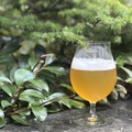 【森の香りを纏った1本！よなよなビアワークス限定クラフトビール】第42弾「WORKS Ale#42 Forest Echo IPA」提供