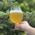 【森の香りを纏った1本！よなよなビアワークス限定クラフトビール】第42弾「WORKS Ale#42 Forest Echo IPA」提供