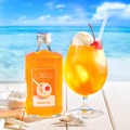 【甘酸っぱくて懐かしい！心ときめくフルーツリキュール】「夜更けのソーダフロート」4種が販売