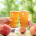 【ビールにぴったりな桃「まどか」を贅沢に使用！】季節限定クラフトビール「桃ビール2025」数量限定販売