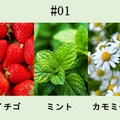 【希少な神戸市特産ボタニカルを使用！】「KOBE HERBAL GIN 白風」2種が全国発売
