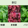 【希少な神戸市特産ボタニカルを使用！】「KOBE HERBAL GIN 白風」2種が全国発売