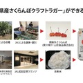 【規格外のさくらんぼを活用！】「山形県産さくらんぼクラフトラガー」販売