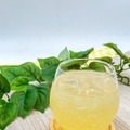 【果汁40%のリキュール！】贅沢に果実を使ったリッチなお酒「國盛　フルリア　グレープフルーツのお酒」新発売