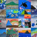【好評につき数量追加！子どもたちが描いた100本のアートラベル】樫立酒造「100周年記念ボトル」販売
