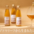【ノンアルコールの新しい未来！】これまでとは一線を画すコンブチャ「HOKKAIDO TEA KOMBUCHA」販売