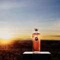 【革新的なアメリカンウイスキー「SirDavis」発売1周年！】記念のポップアップバーが都内3店舗で開催