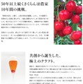 【さくらんぼ感が6倍！進化したご褒美ビール】「GOHOBI SATONISHIKI IPA 佐藤錦クラフトビール」販売