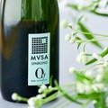 【待望のハーフサイズ！スペインの老舗ワイナリー】「ムッサ 0.0% ノンアルコール・スパークリング」375ml発売