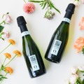 【待望のハーフサイズ！スペインの老舗ワイナリー】「ムッサ 0.0% ノンアルコール・スパークリング」375ml発売