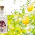【広島県ジン！】全国47都道府県の特産品の魅力を発信するクラフトジン「県ジンプロジェクト」第12弾が発売