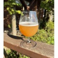 【ビールの常識を覆す