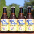 【アメリカンホップ100%のアメリカンスタイルビール！】「Hop Pop Brothers」の2種の限定ビールが発売