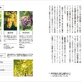 【ソムリエ歴23年・講師歴16年の著者による中級者向けワインガイド！】「THE STUDY OF WINE」発売