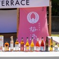 【100種の梅酒が登場！】「紀州田辺の梅酒を愛でる9日間 in 学大高架下　梅酒って、こんなに楽しいの！？」開催