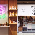 【100種の梅酒が登場！】「紀州田辺の梅酒を愛でる9日間 in 学大高架下　梅酒って、こんなに楽しいの！？」開催