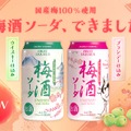 【大人の梅酒ソーダ！国産梅100%使用】「梅酒ソーダ ブランデー仕込み」「梅酒ソーダ ウイスキー仕込み」発売