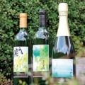 【指定文化財・樹齢110年の原木から枝分けした葡萄を醸造!】希少な「三森甲州」ワイン3種が発売