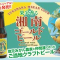 【発泡酒「湘南ゴールドエール」がビールに格上げ！】果実香る「湘南ゴールドビール」発売
