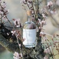 【希少な「梅の花」が主役のフラワージン！】「naturadistill 梅花蜜柑蒸溜酒（Ume Blossom Mikan GIN）」先行予約受付が開始