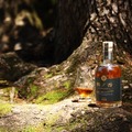【希少なミズナラの新樽で仕上げた5年熟成スコッチウイスキー!】「楢ノ香 -naranoka-」販売開始