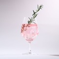 【7種の天然由来ボタニカル使用！】トロピカルなクラフトジン「TROPICAL GIN 燦果 -sanka-」販売開始