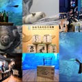 【魚を肴に 日本酒ナイト水族館】宮城を代表する9つの酒蔵が大集合！プレミアムナイトイベント開催
