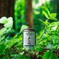 【森のハイボール！？】「ウイスキーハイボール戸河内 LIMITED RELEASE 瑞々しい森の香り」限定発売