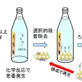 九州大学発の酒類品質改善技術が実証実験フェーズへ、副業・フリーランス人材が事業化を支援