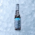 【白馬の夏の涼やかさを一杯に！季節限定のCold IPA】「Hikage（日陰）」販売