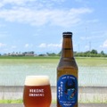 【ひこにゃんの公式ライバルがクラフトビールに!】「わるにゃんこ将軍ラガー」発売