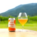 【ワイン醸造家が造るクラフトビール!】「CAVE D’OCCI BREWING」より缶タイプの「SOLO(ソロ)シリーズ」新発売