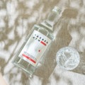 【石垣島のボタニカル探検！】クラフトジンシリーズ第1弾「YAESEN GIN 01（八重泉ジン01）」発売