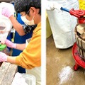 【キャンパスに咲くソメイヨシノがクラフトビールに!】東京都内初の「染八エール」が発売中
