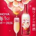 【先行予約受付中！】プレミアムな梅ワイン「CHOYA 梅ワインヌーボー2026」限定発売