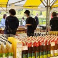 【120種以上の梅酒が横須賀に集結!】「全国梅酒まつり in 横須賀2026」秋バラと共に3日間開催
