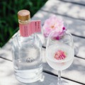 【みずみずしくピュアな薔薇の香り！】「森のジン 薔薇詩（バラード）2026」一般発売