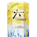 【サントリージャパニーズクラフトジン!】「四季に寄り添う限定品」と「特別なジンソーダ缶」が新発売
