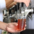 【昨年は約30,000名が来場した大人気イベント！】「浜松クラフトビールフェス」開催