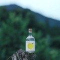 【長野の「初摘みりんご」の青く爽やかなクラフトジン!】「tekaro GIN First Harvest」先行販売