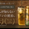 【1998年醸造・28年熟成古酒のハイボール！】「古昔の美酒 古酒ハイボール 1998」ついに一般販売