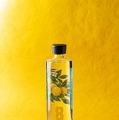 【湘南ゴールドのクラフトジン!】「NUMBER EIGHT GIN 2026 Gold Edition」限定発売