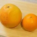 宅飲みパーティーにおすすめ！簡単おしゃれな「柑橘のマリネ」